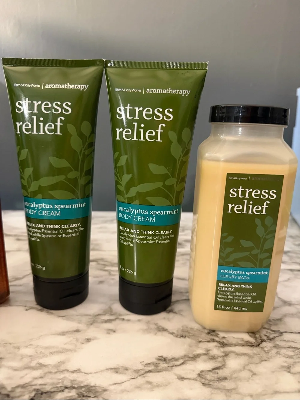 Bath & Body works Aromatherapy “Stress Relief”